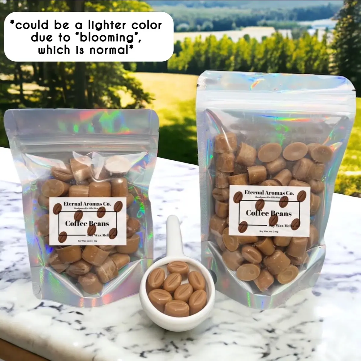 Coffee Bean Wax Melts | Coffee Latte Scented Wax Melts | Coffee Wax Melts | Coffee Beans | Mini Wax Melts | autumn aromas Made-To-Order