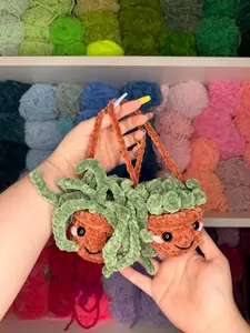 Crochet Plant Car Hanger