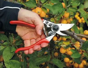 Felco F9 Pruning Shears – 8.3" Swiss-Made Left-Handed Garden Clippers with 1" Cutting Capacity | Hand Pruners for Gardening | Garden Tool Cutter with Precision Bypass Blade, Forged Aluminum Handles