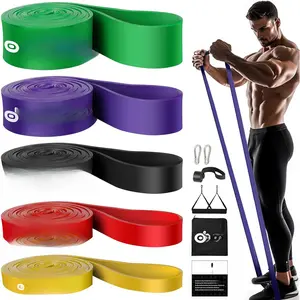 5 Packs Pull Up Assist Bands, Pull Up Straps, Resistance Bands with Door Anchor and Handles, Stretch Mobility, Powerlifting and Extra Durable Exercise Bands with eGuide