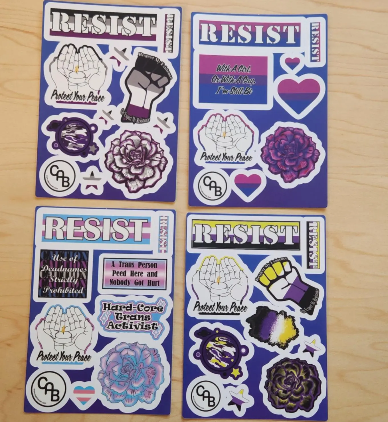 LGBTQ+ Pride Stickers - 4-Sheet Pack of Trans, Bisexual, Nonbinary, Asexual (Ace), Pride Flags Designs - Unisex Collectible Cultural Art Stickers for Planners, Journals