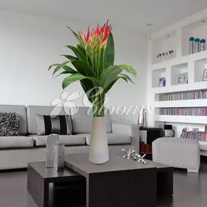 Hot and Sassy Fresh Tropical Bqt - Chic Heloconias Bouquet with Vibrant Foliage for Sophisticated Room Decor