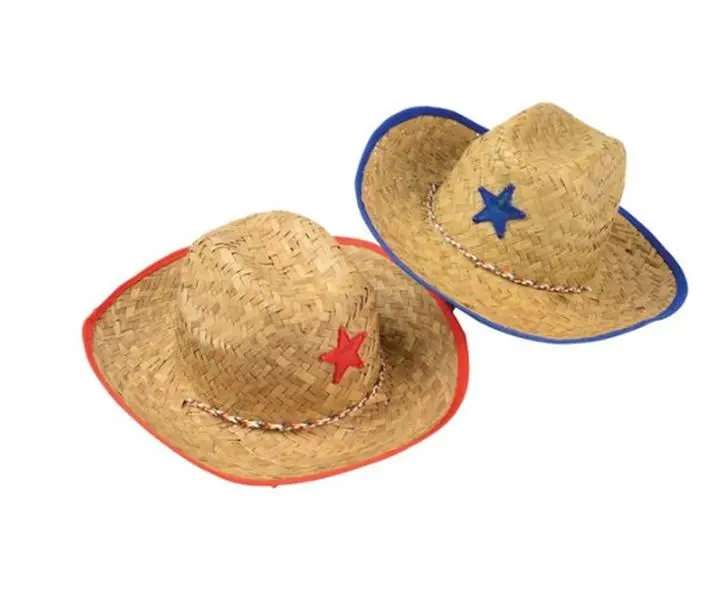 212 MAIN Durable Cowboy Hat for Dogs & Cats, US Toy H100 Style Pet Accessory for Western Themed Looks