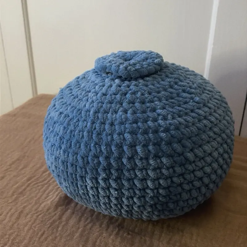 Blueberry pillow