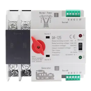 100A Dual Power Automatic Transfer Switch - 2P DIN Rail Mount with Switching, Red Copper Contacts for Generator/Backup Power (110V, 50/60Hz)