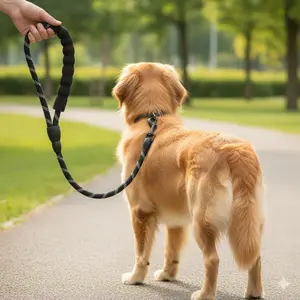 Heavy Duty Anti-Pull Dog Leash for Medium Large Dogs, Reflective Chew Resistant Training Lead with Comfort Padded Handle, Outdoor Safety Pet Walking Equipment