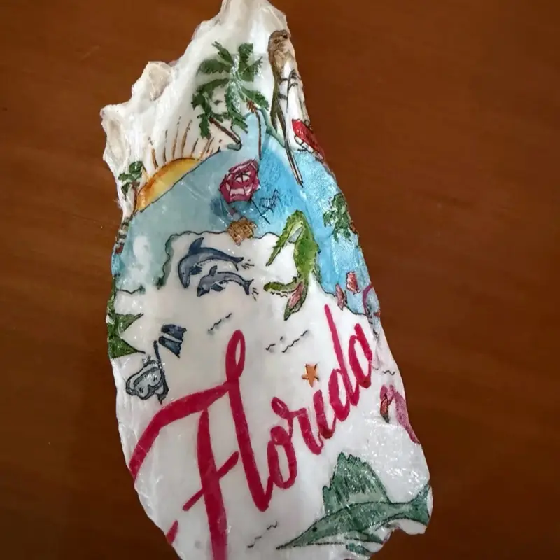 Decorative Florida Shell - Natural Coastal Home Decor Accent for Shelves, Tables