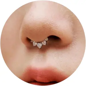 16G Titanium Heart Shape CZ Septum Rings  Nose Ring   Daith Earrings Hinged Segment Helix Clicker Seamless Ring   for Her
