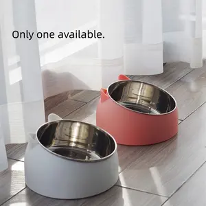 Stainless Steel Cat Bowl Dog Bowl Dual Bowl, Neck Protection Sloped Mouth Pet Food Dish, Ideal for Small Cats and Dogs