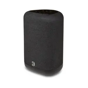 Bluesound Pulse Flex