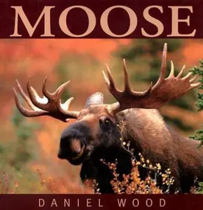 USED-Moose by Daniel Wood (Hardcover)