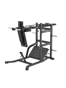 Pendulum Squat DSH033