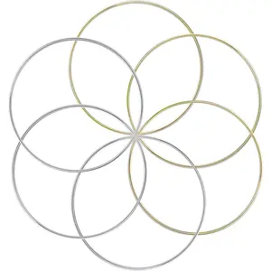 6pcs Metal Rings Hoops Macrame Rings for Dream Catchers and Crafts,6 inch, Gold and Silver