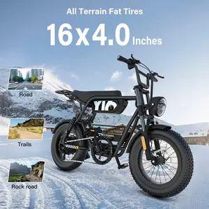 Y16 Electric Bike for Adults 1500W Peak Motor 48V/15Ah Battery 28MPH Speed 16x4 Fat Tires All-Terrain Moped Style Dirtbike for Snow Mountain Sand Road