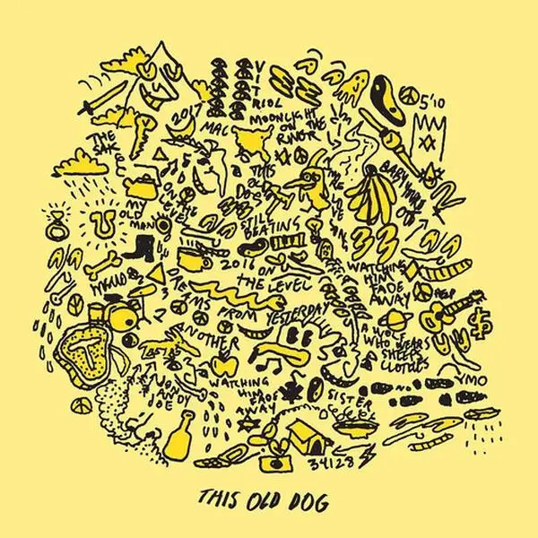 This Old Dog - Mac Demarco - Record Album, Vinyl LP