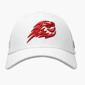 Fireballs GC | New Era 9FORTY Stretch-Snap Team Hat