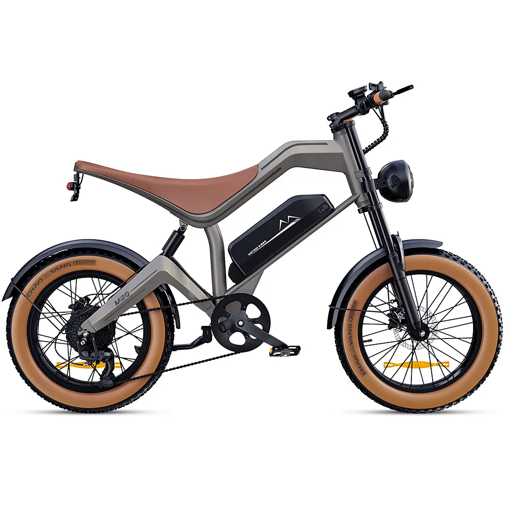 NEW DYU M20 Lite All-Terrain Long-Range Electric Bike