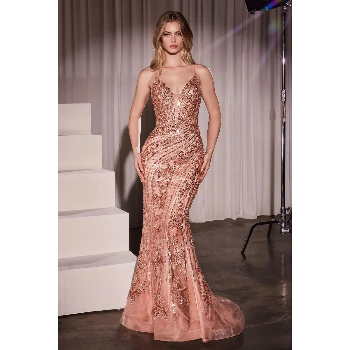La Divine CC0389 - Lace Embellished Fitted Gown
