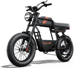 GT33 All-Terrain Cafe Racer Cargo Electric Bike