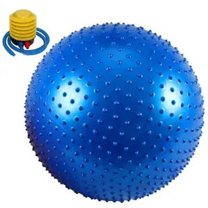 Large Sensory Massage Ball Bouncy Exercise Ball with Tactile Spikes 75CM Big Inflatable Balls with Air Pump for Girls Boys Outdoor Indoor Pool Beach
