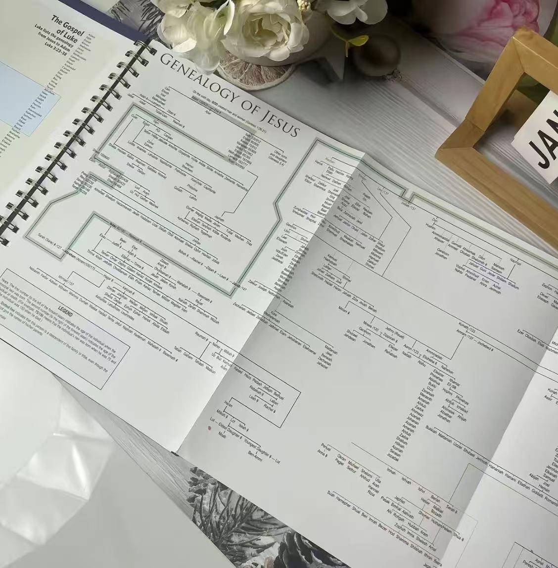 Biblical Timeline Made Easy: Rose Bible 10th Anniversary Commemorative Edition (6th Gen Upgrade | Must-Have for Bible Study)