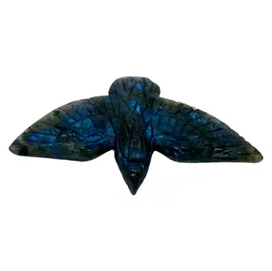 IG Crystal 2 Counts Labradorite Eagle Crystal Carving Healing Crystal Gem Reiki Healing Home Decor Crystal Jewelry Shop Pretty Crystals