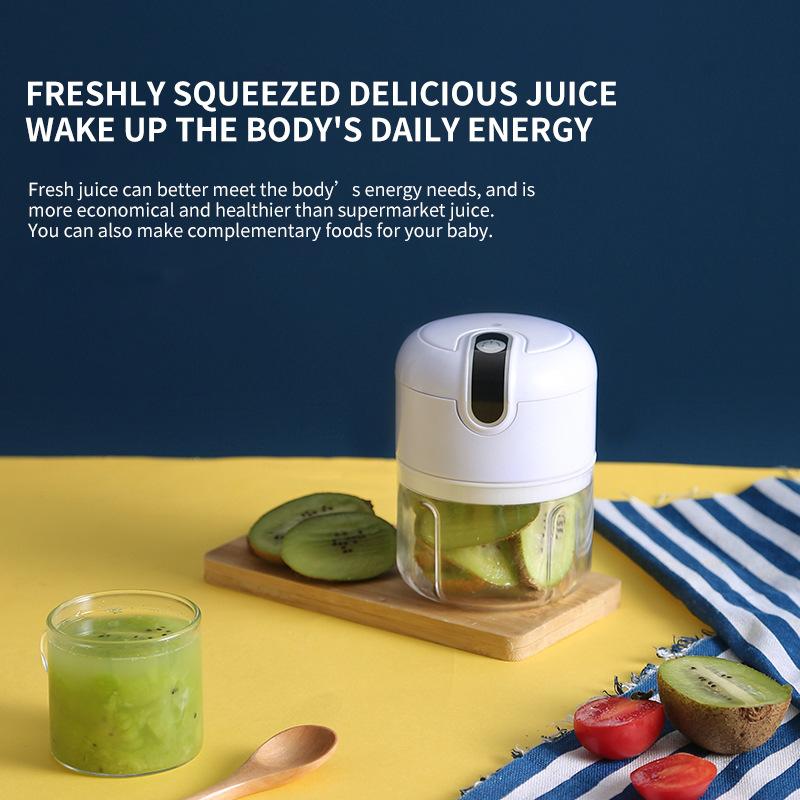 Multi-Function Meat and Vegetable Chopper/ Grinder