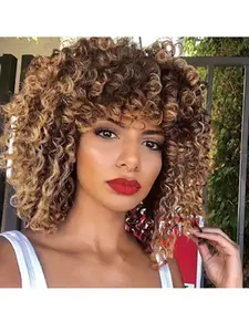 Women's Synthetic Fashion Wig, Afro Puff Curly Hair, Style, Perfect Gift for Girlfriend, Friends, Family, Daily Party Use