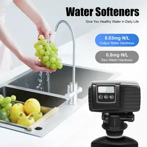 CNCEST 5600xstst Time Type Digital Control Valve for Water Softeners 0.03mg-N/L Output Water Hardness 0.8mg-N/L Raw Water Hardness 3W Power 2T/H Flow Rate