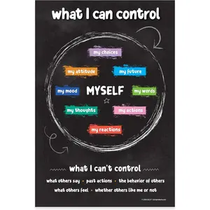 Things I Can Control Poster – Mental Health & Growth Mindset Tool for Teens – SEL Wall Art for Classrooms, Counseling & Therapy – Laminated 12"x18"