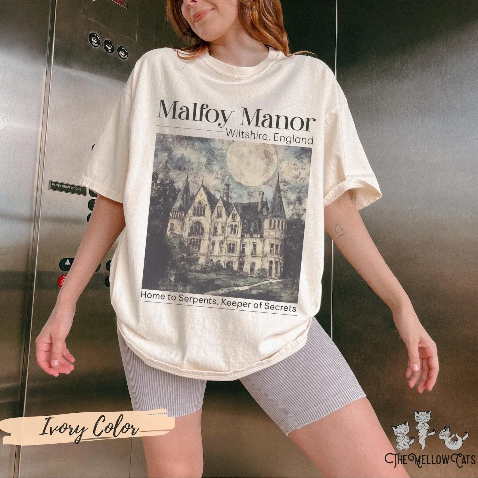 Dramione era Manacled merch Fanfiction Comfort Colors shirt Booktok Bookish merch, Wizard world tee, Dark Academia clothing gift for Readers