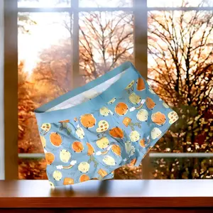 High-Class briefcase of Thunder Cat , Funny Men's Boxer Briefs Valentines Day Gift Boyfriend, Men's Underwear, Gift For Husband