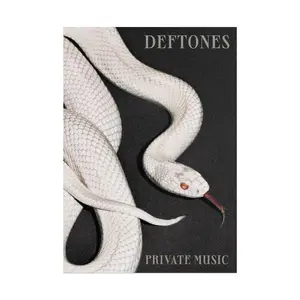 Deftones Private Music Wall Art Poster Unframed HD Print Home Office Decor Unique Trendy Gift, Perfect Gift