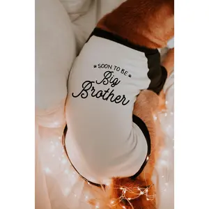 Soon To Be Big Brother Big Sister Dog Raglan Shirt