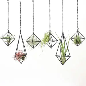 Black Metal Air  Hanger, Tillandsia Air  Holders , Modern Air Fern Display Stand with Chains for  Wall Decor,Octahedron Himmeli Geometric Decor,  Decor Gifts (6Pcs)