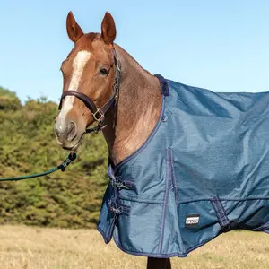 Jeffers Poplar Head Origin 600 Denier Turnout Sheet, 0 Gram, Blue Jean Baby