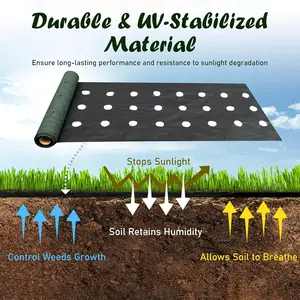 Dual Layer Perforated Non-Woven Weed Barrier Cloth, 8cm Hole Size, Breathable Water-Permeable PP Material, Garden Use