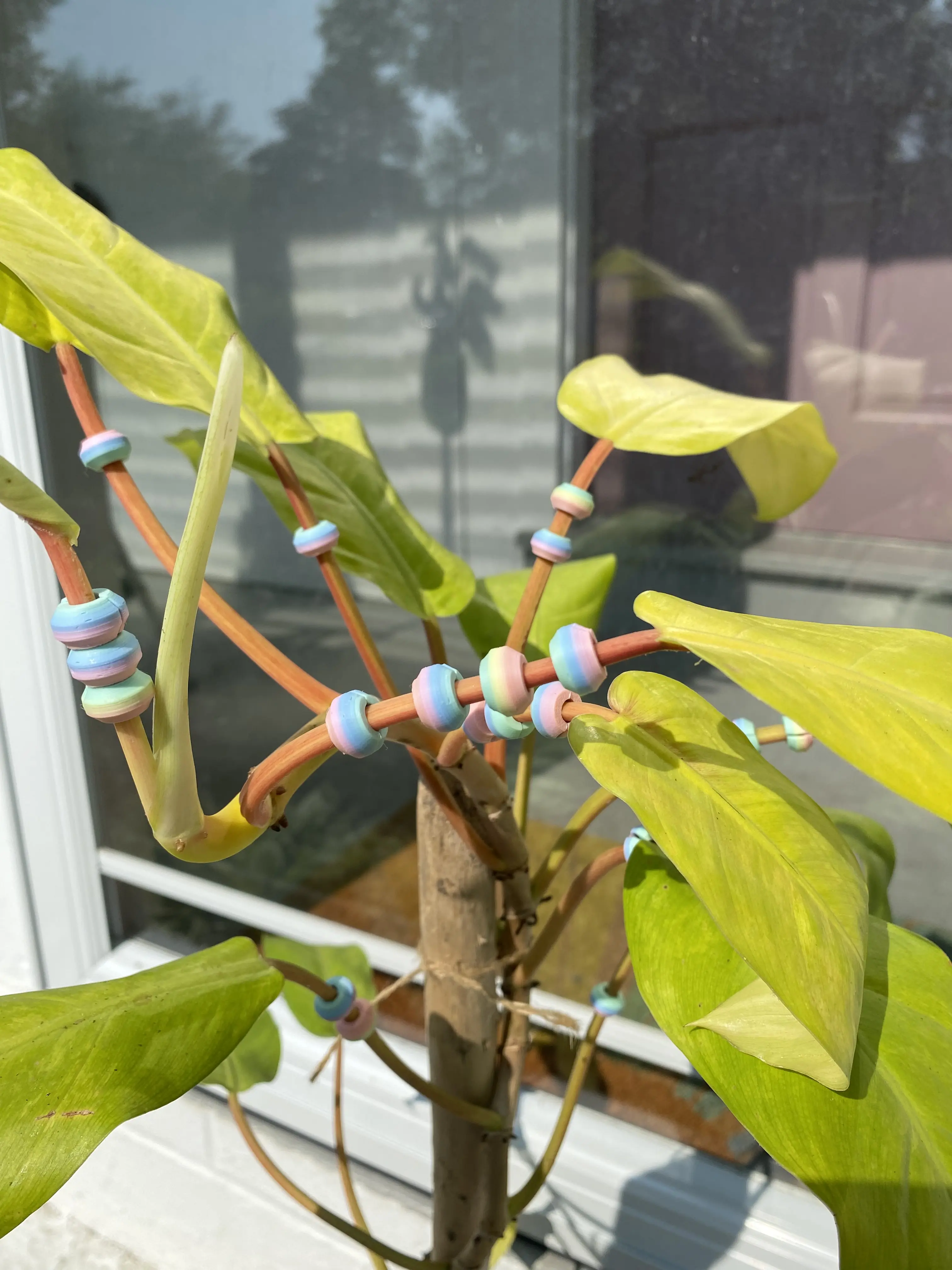 Planties Magnetic Bead