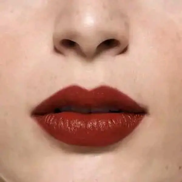 Lip Stylo - Rose Shadow, Bold Red Lipstick for Dramatic Look, Perfect for Special Occasions and Daily Use