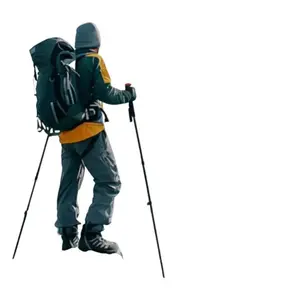 Lightweight Outdoor Hiking Poles - Supports 41 Inch, 2.5 lb Weight Capacity, Retractable, Wear-Resistant, Rust-Proof, Non-Slip