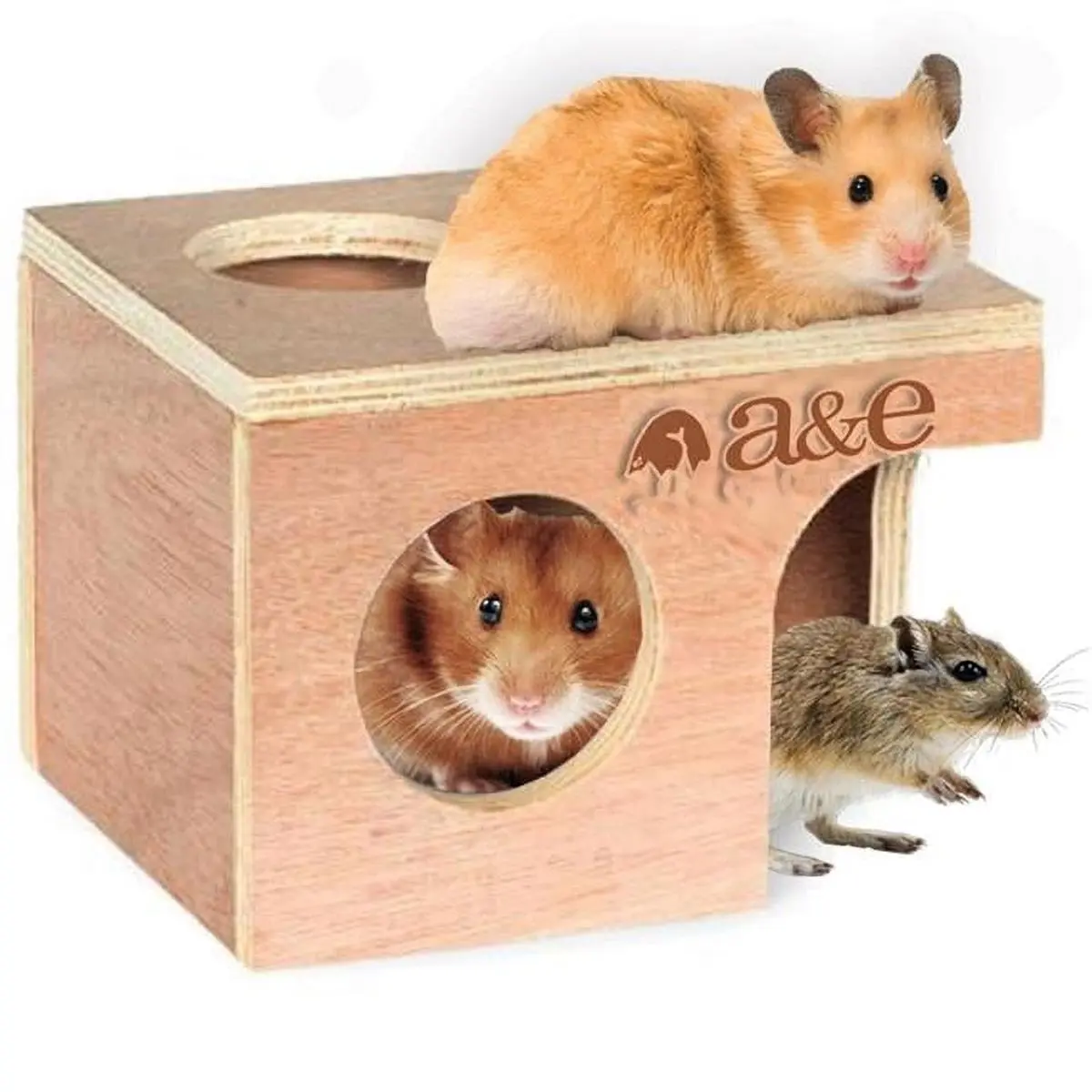 A&E Cage NB002 Medium Hamster & Gerbil Hut - 6.25x5.12x4.5 in., Natural Look, All Natural, Boredom Relief, No Nails or Staples, Unfinished Look