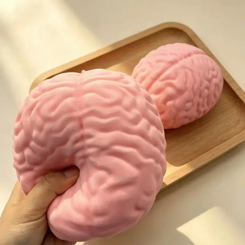 Realistic Brain Squeeze Toy TPR Stress Relief Prank Toy