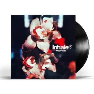 Inhaler - Open Wide NEW Vinyl Record 602475097297