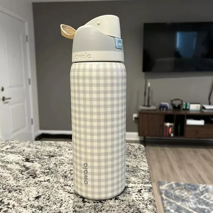 Owala Special Edition 32oz Stainless Steel Insulated FreeSip Water Bottle with Gingham Design - Hearth & Hand with Magnolia Drinkware Flasks