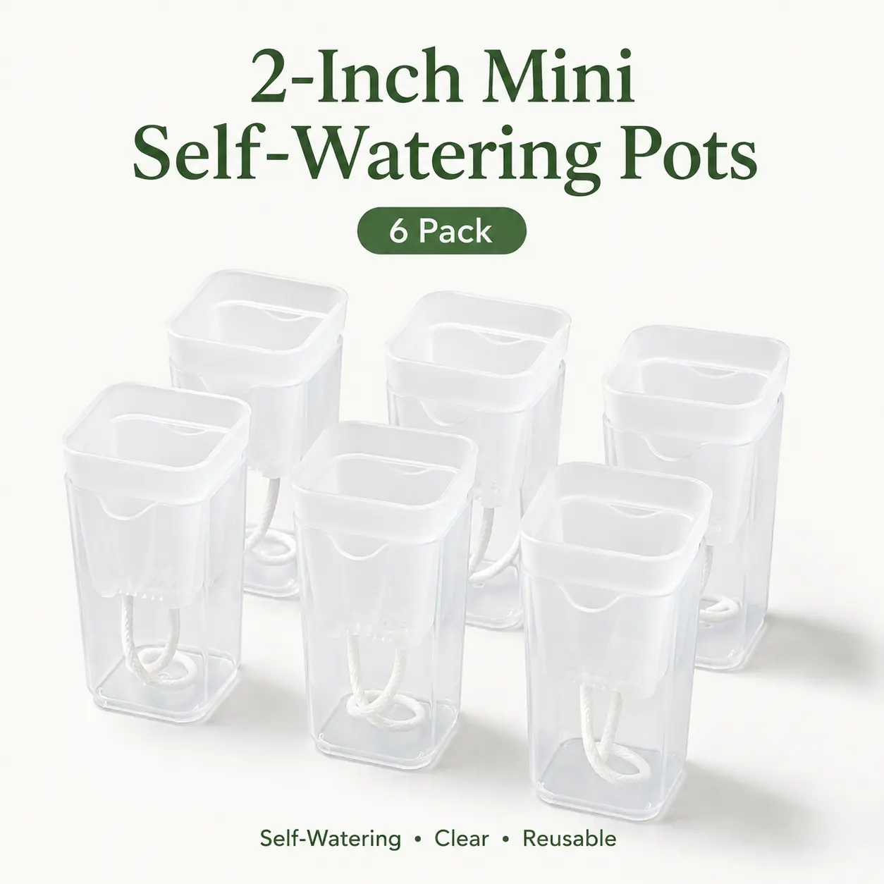 2-Inch Mini Self-Watering Pots with Wicks, 6 Pack – Clear Propagation Pots for Indoor Plants, Seedlings, Succulents & Starter Houseplants  Shorter Backup Title