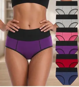 Women's High-Waist Seamless Spandex Fabric Panties, Stretchy Soft Breathable Full-Coverage No-Show Briefs with Slight Tummy Control summervibes