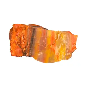 Rainbow Petrified Wood Rough – Arizona - One Pound | Great for Tumbling!