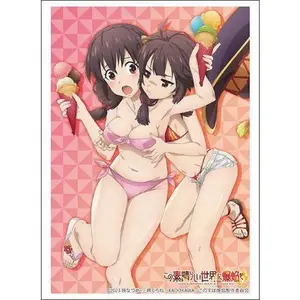 "Kono Subarashii Sekai ni Bakuen wo!" Yunyun & Megumin Bushiroad Sleeve Collection High-grade Vol. 3869
