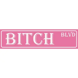 Pink Room Decor Aesthetic Y2k Bedroom Decor Funny Signs Retro Metal Bitch Blvd Tin Sign Pink Dorm Wall Decor For Women Girly Apartment Wall Art Cool Unique House Decoration Posters 4x16 Inch
