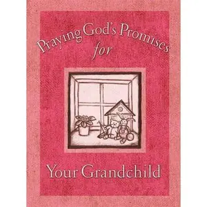 USED-Praying God's Promises for Your Grandchildren by Countryman (Hardcover)